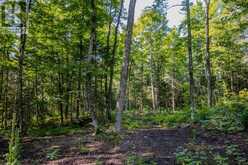 688 PRINCE ROAD E | Madawaska Valley Ontario | Slide Image Thirty