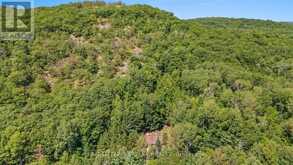 561 LONG LAKE ROAD | Madawaska Valley Ontario | Slide Image Forty-three