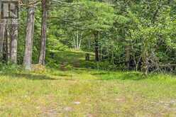 10A MCMASTER LAKE LANE | Madawaska Valley Ontario | Slide Image Ten