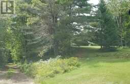 10A MCMASTER LAKE LANE | Madawaska Valley Ontario | Slide Image Sixteen