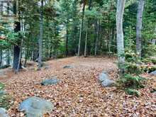 134 CARSON HEIGHTS ROAD | Madawaska Valley Ontario | Slide Image Six