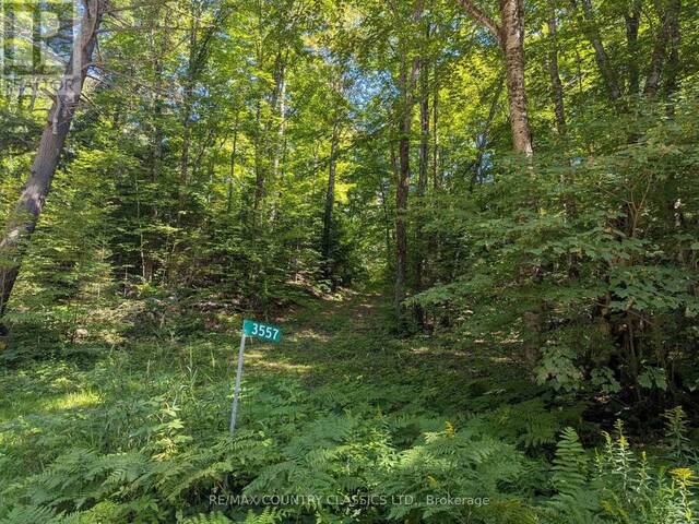 3557 MOUNTAINVIEW ROAD Killaloe, Hagarty and Richards Ontario, K0J 2A0 - Vacant Land For Sale