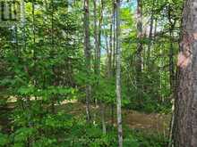 5032 ROUND LAKE ROAD | Killaloe, Hagarty and Richards Ontario | Slide Image Thirty-three