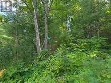 5032 ROUND LAKE ROAD | Killaloe, Hagarty and Richards Ontario | Slide Image Thirty-five