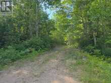 5032 ROUND LAKE ROAD | Killaloe, Hagarty and Richards Ontario | Slide Image Thirty-seven