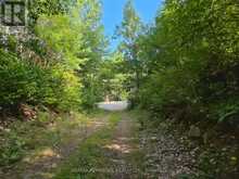 5032 ROUND LAKE ROAD | Killaloe, Hagarty and Richards Ontario | Slide Image Thirty-nine