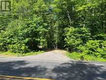 00 SIBERIA ROAD | Madawaska Valley Ontario | Slide Image One