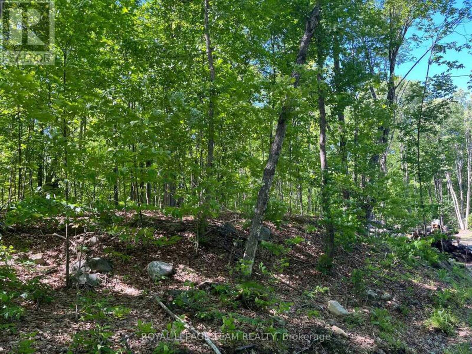 01 SIBERIA ROAD, Madawaska Valley, Ontario K0J 1B0