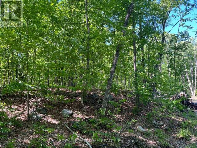 01 SIBERIA ROAD Madawaska Valley Ontario, K0J 1B0 - Vacant Land For Sale