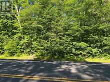 01 SIBERIA ROAD | Madawaska Valley Ontario | Slide Image Two