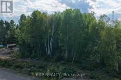 LOT 14 BIRCHVIEW DRIVE | Madawaska Valley Ontario | Slide Image Three