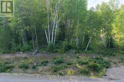 LOT 14 BIRCHVIEW DRIVE | Madawaska Valley Ontario | Slide Image Four