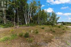 LOT 14 BIRCHVIEW DRIVE | Madawaska Valley Ontario | Slide Image Five