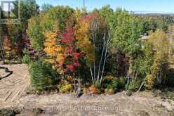 LOT 14 BIRCHVIEW DRIVE | Madawaska Valley Ontario | Slide Image Two