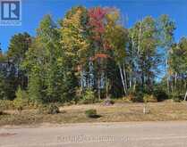 LOT 14 BIRCHVIEW DRIVE | Madawaska Valley Ontario | Slide Image One