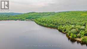 0 LAKESHORE DRIVE | Madawaska Valley Ontario | Slide Image Ten