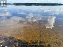 0 LAKESHORE DRIVE | Madawaska Valley Ontario | Slide Image Thirteen