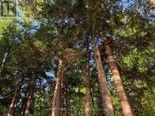 0 LAKESHORE DRIVE | Madawaska Valley Ontario | Slide Image Nineteen
