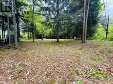 0 LAKESHORE DRIVE | Madawaska Valley Ontario | Slide Image Twenty-seven