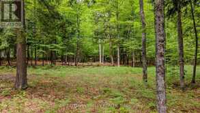 0 LAKESHORE DRIVE | Madawaska Valley Ontario | Slide Image Twenty-eight