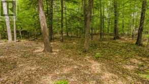 0 LAKESHORE DRIVE | Madawaska Valley Ontario | Slide Image Thirty-two
