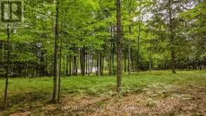 0 LAKESHORE DRIVE | Madawaska Valley Ontario | Slide Image Thirty-three
