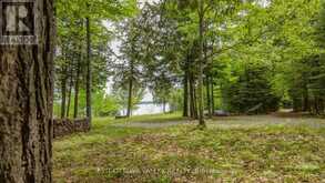 0 LAKESHORE DRIVE | Madawaska Valley Ontario | Slide Image Thirty-five