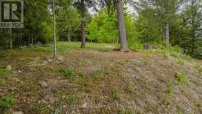 0 LAKESHORE DRIVE | Madawaska Valley Ontario | Slide Image Thirty-seven