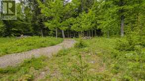 0 LAKESHORE DRIVE | Madawaska Valley Ontario | Slide Image Thirty-eight