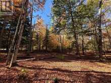0 LAKESHORE DRIVE | Madawaska Valley Ontario | Slide Image Forty