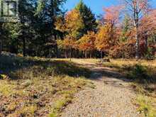0 LAKESHORE DRIVE | Madawaska Valley Ontario | Slide Image Forty-one