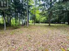 0 LAKESHORE DRIVE | Madawaska Valley Ontario | Slide Image Forty-two