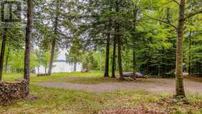 0 LAKESHORE DRIVE | Madawaska Valley Ontario | Slide Image Four