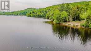 0 LAKESHORE DRIVE | Madawaska Valley Ontario | Slide Image Five