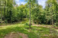 0 NORDIC LANE | Killaloe, Hagarty and Richards Ontario | Slide Image Ten