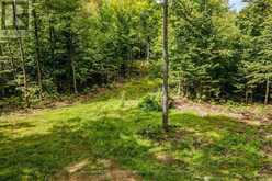 0 NORDIC LANE | Killaloe, Hagarty and Richards Ontario | Slide Image Nineteen