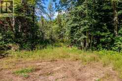 0 NORDIC LANE | Killaloe, Hagarty and Richards Ontario | Slide Image Two