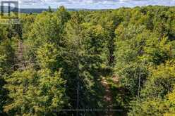 0 NORDIC LANE | Killaloe, Hagarty and Richards Ontario | Slide Image Four