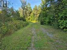 3155 MOUNTAIN VIEW ROAD | Killaloe, Hagarty and Richards Ontario | Slide Image Twelve