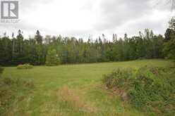 14308 B HIGHWAY 60 HIGHWAY | North Algona Wilberforce Ontario | Slide Image Ten
