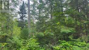 00 SIPOLINS ROAD | Greater Madawaska Ontario | Slide Image Forty-three