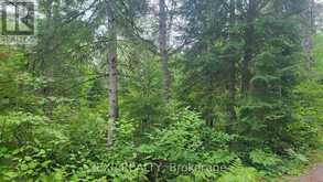 00 SIPOLINS ROAD | Greater Madawaska Ontario | Slide Image Forty-seven
