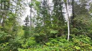 00 SIPOLINS ROAD | Greater Madawaska Ontario | Slide Image Fifty