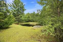 64 MACKEY CREEK ROAD | Head, Clara and Maria Ontario | Slide Image Thirty-seven