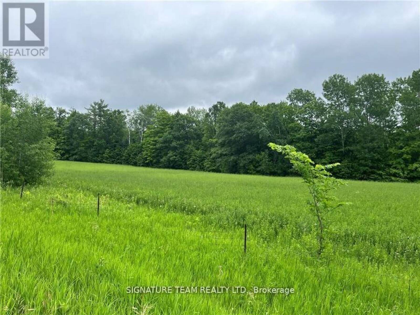 0 GRANT SETTLEMENT ROAD, Whitewater Region, Ontario K0J 1V0
