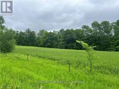 0 GRANT SETTLEMENT ROAD Whitewater Region Ontario, K0J 1V0