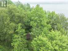 50 MISTY WAY | Deep River Ontario | Slide Image Forty-seven