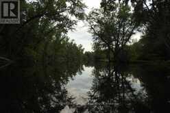 0 BUTTERNUT ISLAND | Whitewater Region Ontario | Slide Image Twelve