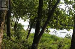 0 BUTTERNUT ISLAND | Whitewater Region Ontario | Slide Image Fifteen