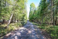 41 HARRISON TRAIL | Greater Madawaska Ontario | Slide Image Twenty-five